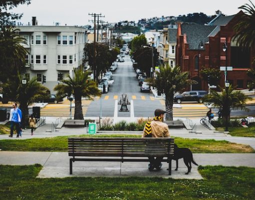 The Ultimate Guide to Finding Pet-Friendly Hotels in San Francisco: Tips and Tricks