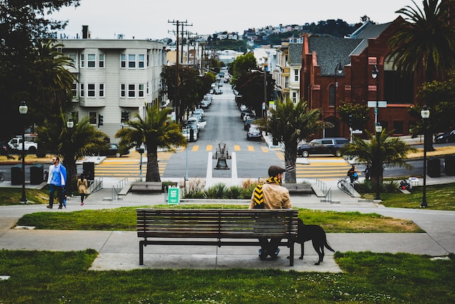 The Ultimate Guide to Finding Pet-Friendly Hotels in San Francisco