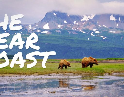 New Short Film by Natural Habitat Adventures Celebrates Earth Day with a Mesmerizing Portrait of Alaska’s Brown Bears