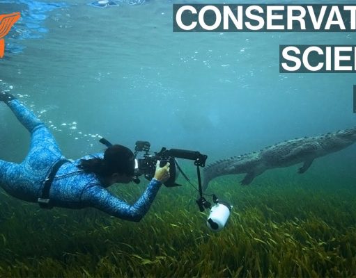 Greenwich to Host Special Appearance and Major Exhibition by Two of the World’s Foremost Conservation Champions/Nature Photographers: Cristina Mittermeier and Paul Nicklen