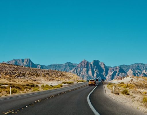 The Different Types of Drivers Licenses on U.S. Roadways Explained