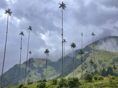 Adventures by Disney to Take Guests to Colombia, the Country that Inspired Disney Animation’s “Encanto”