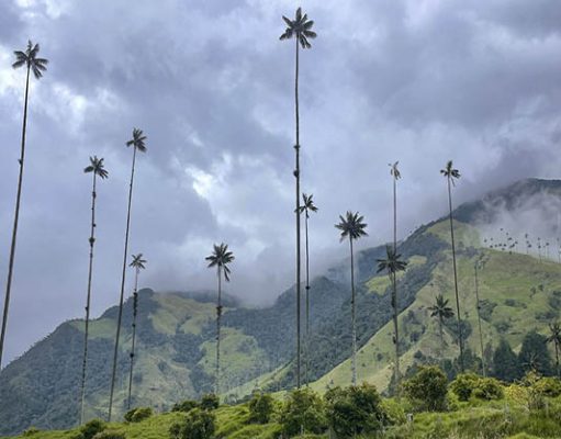 Adventures by Disney to Take Guests to Colombia, the Country that Inspired Disney Animation’s “Encanto”