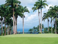 Development of the Year Honors for Apes Hill Barbados