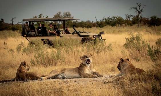 A new African safari destination in Botswana Jarastyle travel