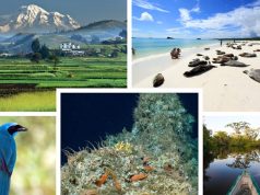 Brand new Galápagos book launch and discovery of unknown coral reef