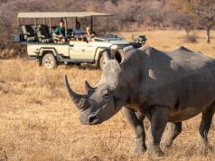 Celebrate World Environment Day with Hotels that Make a Difference