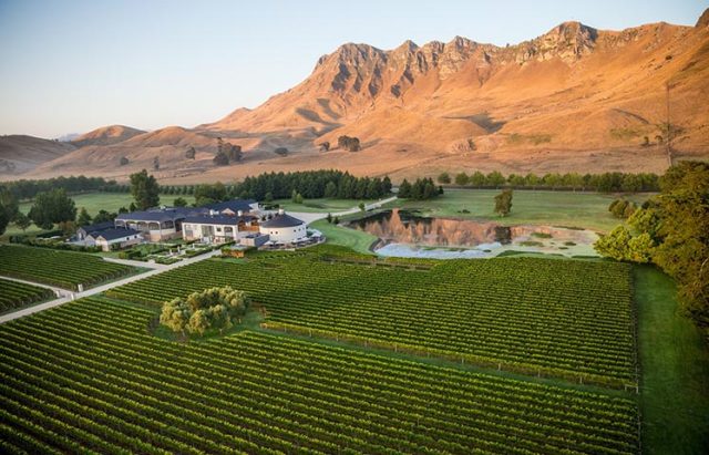 Hawke's Bay Announced as 12th Great Wine Capital of the World Jarastyle travel