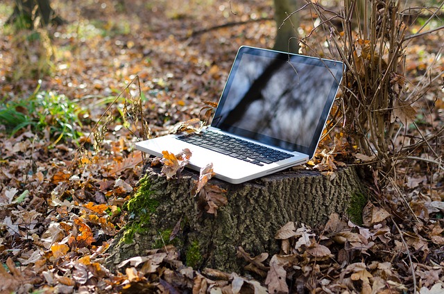 Canada's remote destinations are actually quite digitalized Jarastyle travel