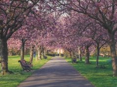 Coronation Weekend: Where to have a picnic fit for a royal