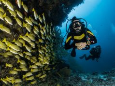 Top Scuba Diving Destinations for Thrill Seekers