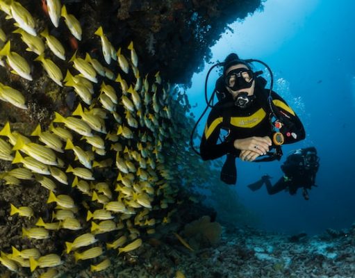 Top Scuba Diving Destinations for Thrill Seekers