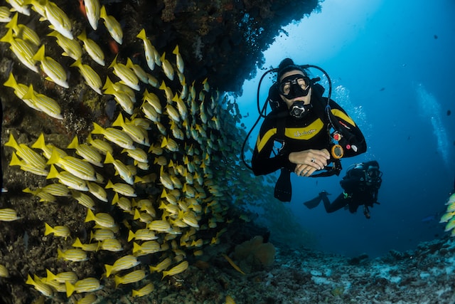 Top Scuba Diving Destinations for Thrill Seekers Jarastyle travel