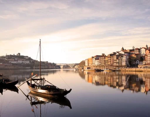 Discover Porto’s Best Wineries