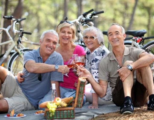 Napa Valley Wine Tour: Redwoods, Vinyards + Pacific Coast