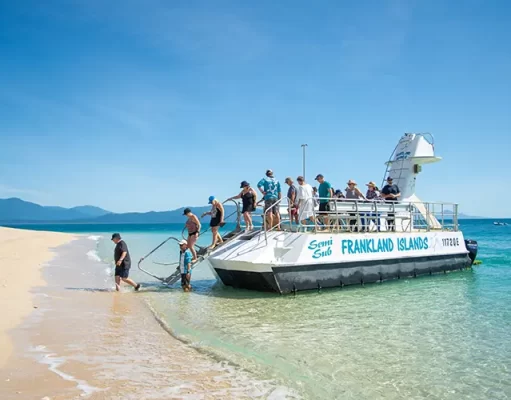 Frankland Islands Reef Cruises the Latest Addition to Australian Wildlife Journeys