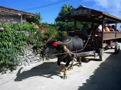 Must-See Villages In Japan