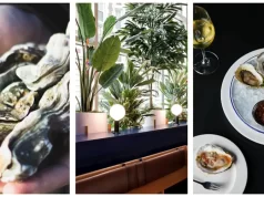 Summer Guide to some of the Best Spots for New England Oysters