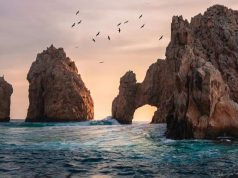 Top 5 Reasons to Take a Cabo Sunset Cruise on Your Next Vacation