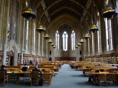 The Journey of Personal Growth for Students: Developing Skills and Building Character