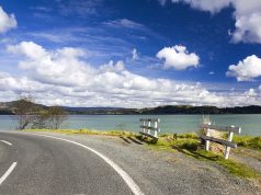 Entertainment Onboard: Fun and Games for an Enjoyable Coach Experience in New Zealand