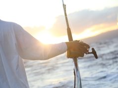 Best Fishing Destinations for a Successful Catch