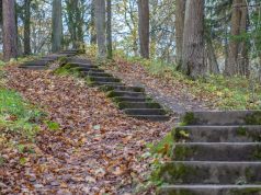 What is the myth about staircases in the woods?