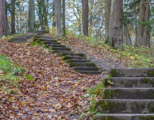 What is the myth about staircases in the woods?