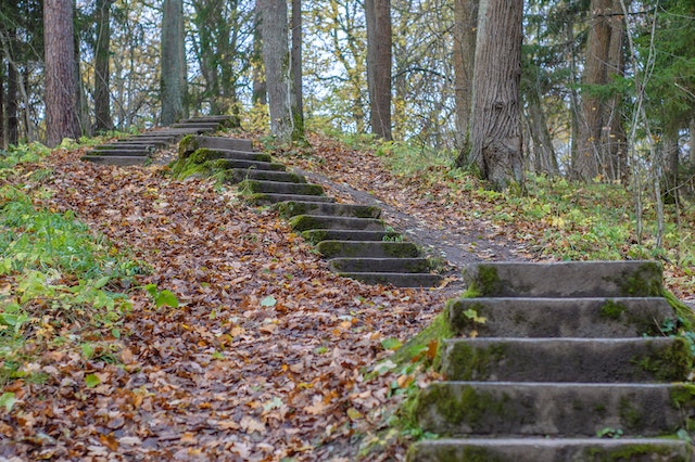 What is the myth about staircases in the woods? Jarastyle travel