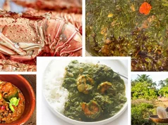 Sierra Leone: A Culinary Destination Ripe For Exploration