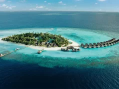 How This Maldives Resort is Protecting Wildlife & Our Beloved Ocean
