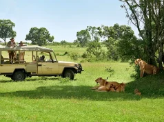 Fairmont Collection Of Hotels And Resorts In Kenya Unveils The Ultimate 3-Stop Safari Destination,Beyond The Great Migration