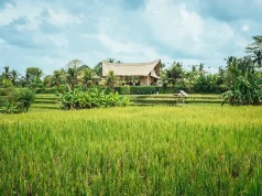 The Simple Pleasures of Ubud’s Luxury Retreats