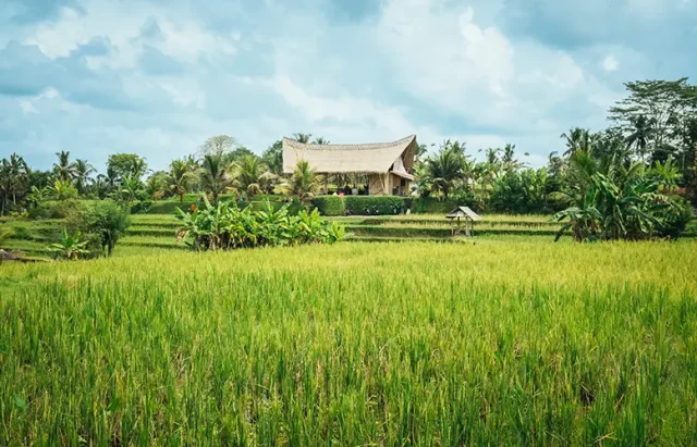 The Simple Pleasures of Ubud's Luxury Retreats Jarastyle travel