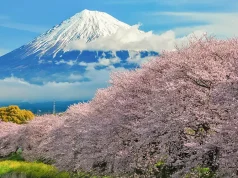 Ride & Seek Acquires Cycle Japan and Announces New Tours