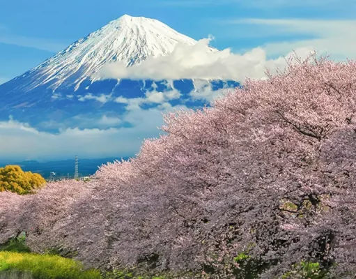 Ride & Seek Acquires Cycle Japan and Announces New Tours