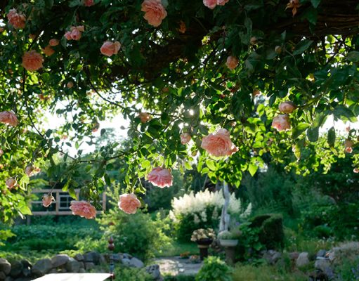 Why A Garden is the Ultimate Airbnb Feature