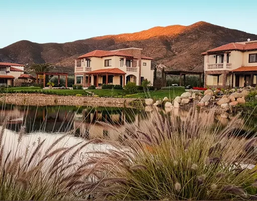 El Cielo Resort in Valle de Guadalupe Celebrates Harvest Season