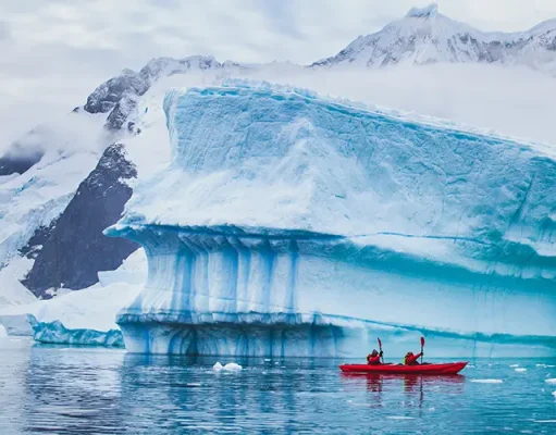 Can You Go Kayaking in Antarctica? An Explained Kayaking Guide!