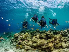 Bonaire Dive Week to Take Place on the Shore Diving Mecca of the World