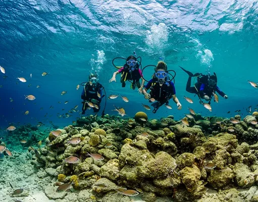 Bonaire Dive Week to Take Place on the Shore Diving Mecca of the World