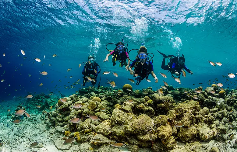 Bonaire Dive Week on the Shore Diving Mecca of the World