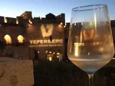 Raise a Glass to Israel’s Growing Wine Tourism