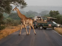 Digital Nomads, It’s Time To Book a Bush Getaway in The Greatest Country On Earth