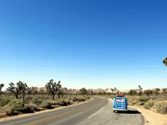 High Stakes and Open Roads: A Luxurious Journey Through America’s Best Gambling States