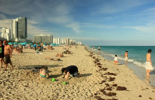 Miami, Beach image