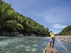 Discover Jamaica’s Natural Beauty Beyond the Beaches