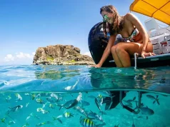 Creole Rock: Dive Into St. Martin’s Iconic Landmark!