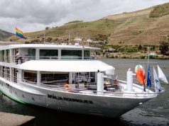 Voyage Through Vineyards: An Enchanted Journey Down the Douro River Valley