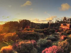 Plan the Perfect Fall Getaway: Why Stanford Inn & Resort is the Ultimate Pet-Friendly, Family-Friendly Destination